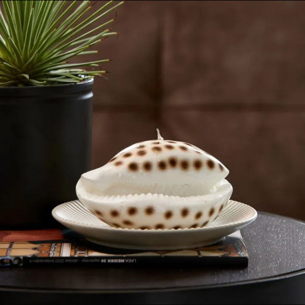 uvozeni-izdelki/riviera-maison-slovenija-velana-living-shell-candle_1