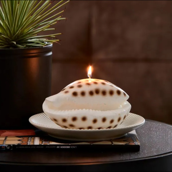 uvozeni-izdelki/riviera-maison-slovenija-velana-living-shell-candle_2