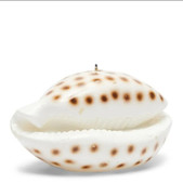 uvozeni-izdelki/riviera-maison-slovenija-velana-living-shell-candle