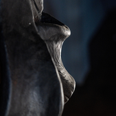 uvozeni-izdelki/velana-living-BLACK-TEAK-SCULPTURE-KNOT_2