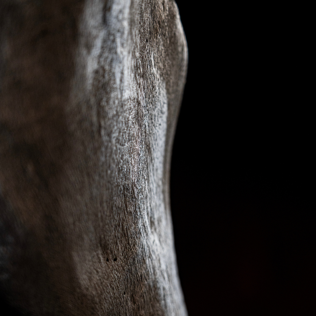 uvozeni-izdelki/velana-living-BLACK-TEAK-SCULPTURE-KNOT_3