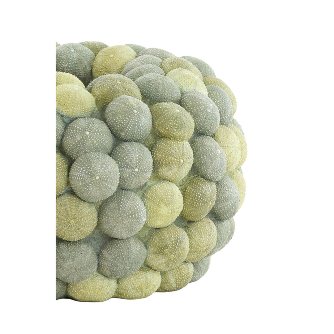 uvozeni-izdelki/velana-living-green-vase-with-sea-urchins-M15627_2