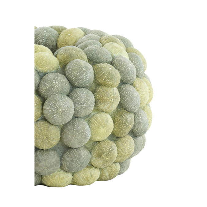 uvozeni-izdelki/velana-living-green-vase-with-sea-urchins-M15627_2