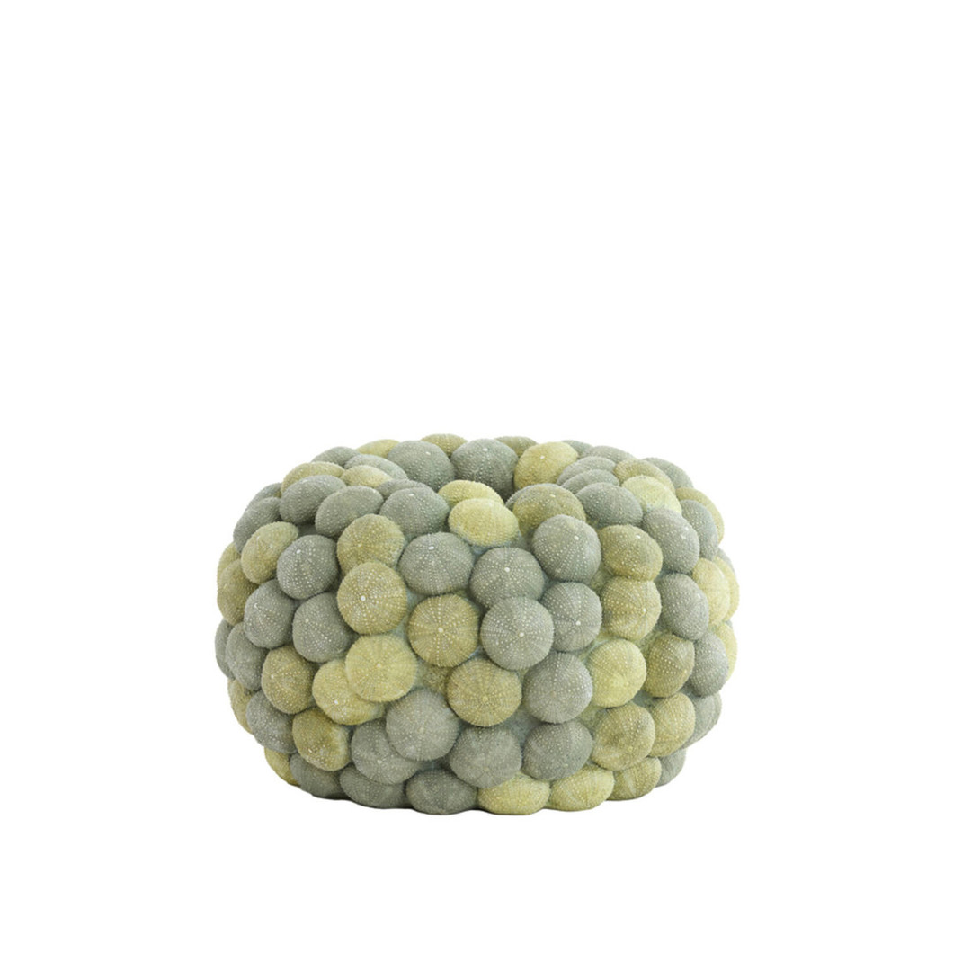 uvozeni-izdelki/velana-living-green-vase-with-sea-urchins-M15627