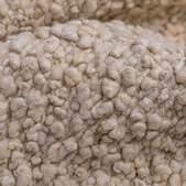 uvozeni-izdelki/velana-living-kafue-rug-L92285_6