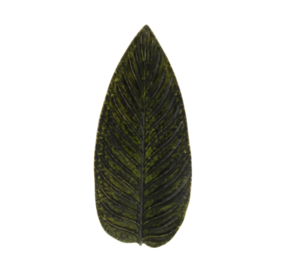 KROŽNIK STELIZIA FOREST