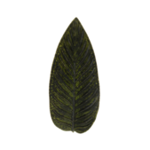 uvozeni-izdelki/velana-living-kroznik-steizia-forest-L82990