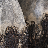 uvozeni-izdelki/velana-living-vaza-bark-l_3