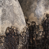 uvozeni-izdelki/velana-living-vaza-bark-m_5